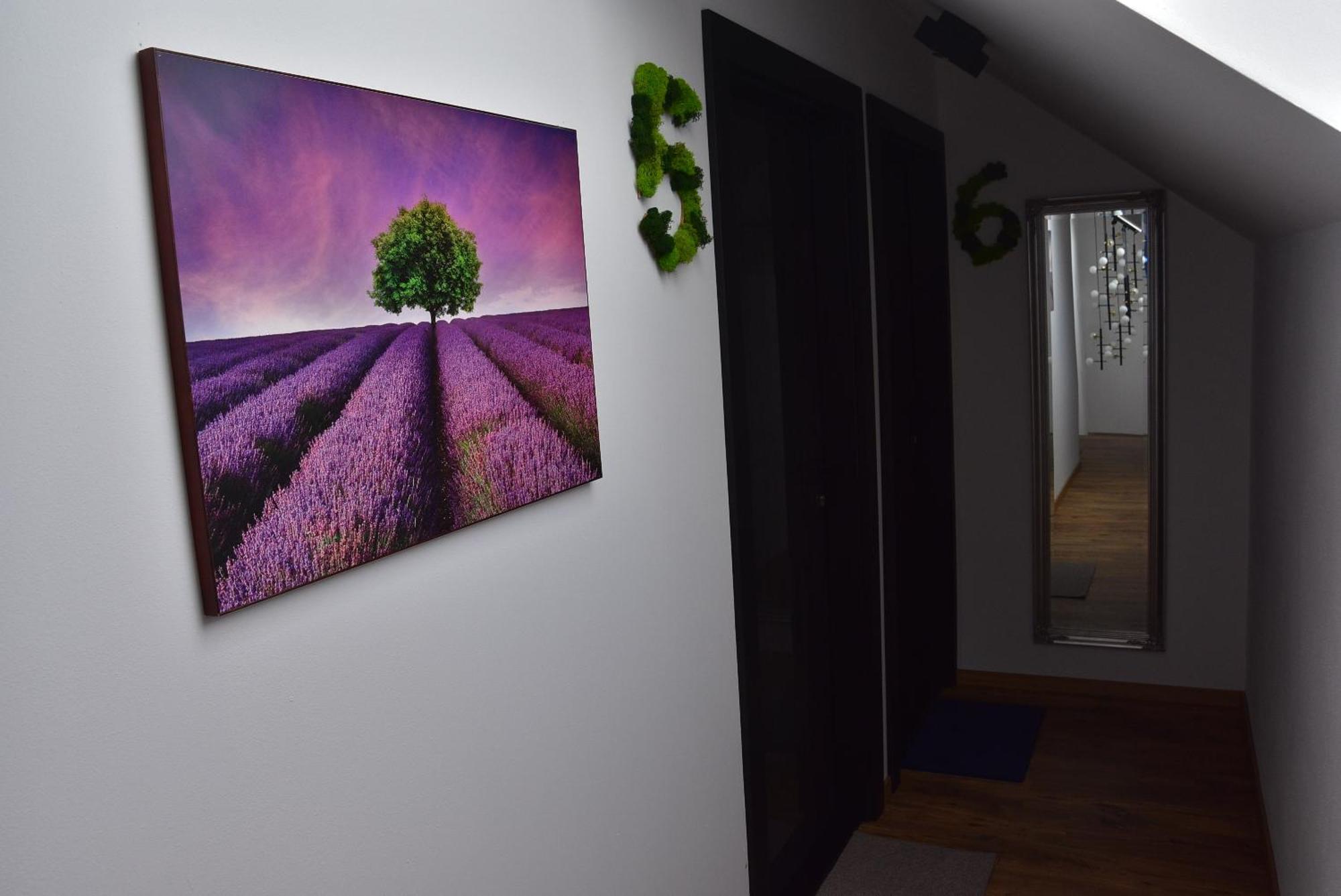 Apartmany Zakovce & Spa Vel'ka Lomnica Eksteriør bilde